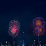 シーサイドももち花火ファンタジアFUKUOKA