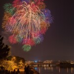 彩色千輪菊 彩色千輪菊